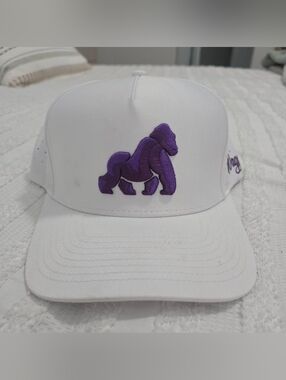 Waggle - GrAPE Snapback